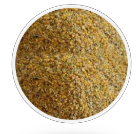 Feed Minerals