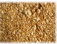 SOYABEAN_meal