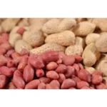 buy-peanuts-at-wholesale-price-in-india-500x500