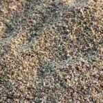 GaurGumMeal1