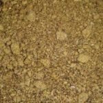 Rapeseed meal 3