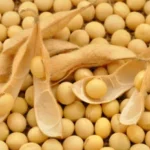 Soya licithin 3