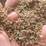 gaurGummeal4