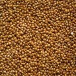millet1