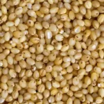 millet3