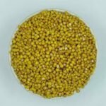 sorghum 2