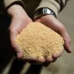 soyabean flour 2