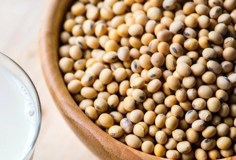 Hydrolysed-Vegetable-Protein