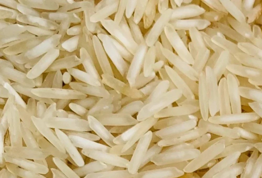 basmati-rice