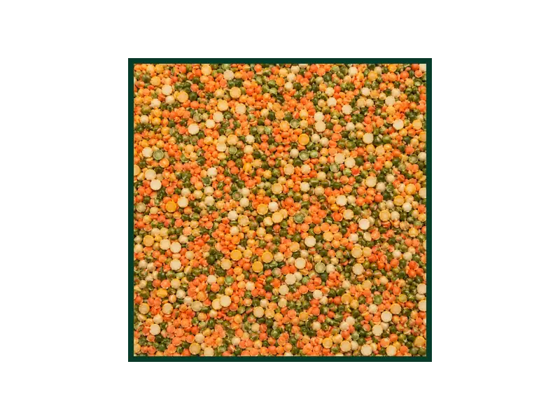 Pulses