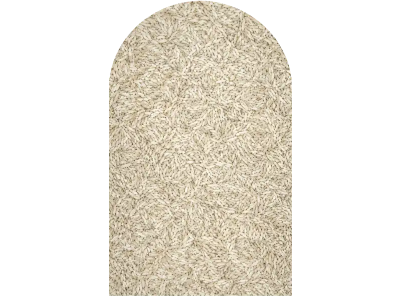 Rice Grains